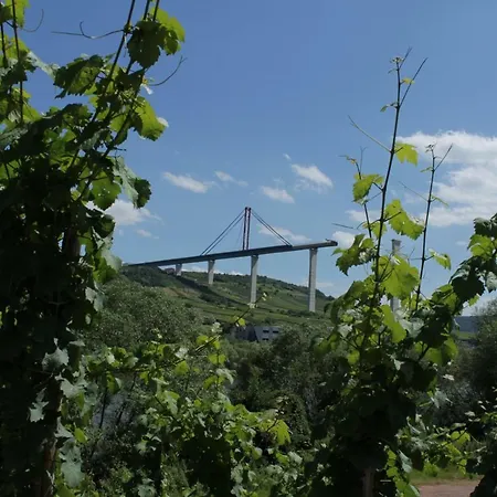 Apartment 'ferienhaus Mosel' Mit Kostenfreien öpnv-ticket *