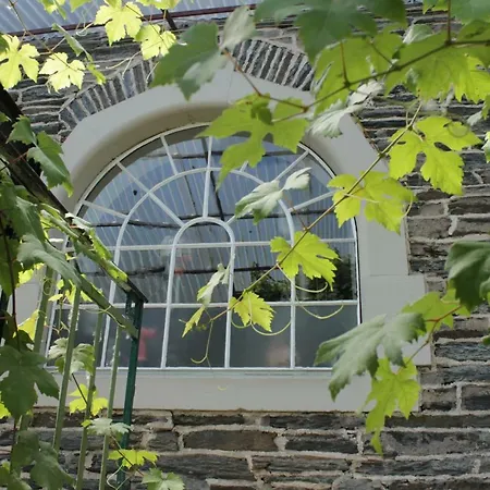 Apartamento 'ferienhaus Mosel' Mit Kostenfreien Oepnv-ticket