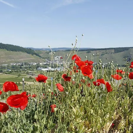 Apartment 'ferienhaus Mosel' Mit Kostenfreien Oepnv-ticket