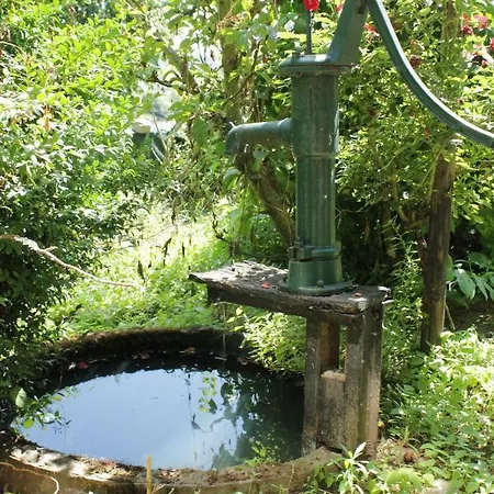 Apartamento 'ferienhaus Mosel' Mit Kostenfreien Oepnv-ticket