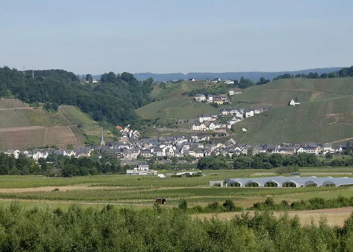 Apartamento 'ferienhaus Mosel' Mit Kostenfreien Oepnv-ticket