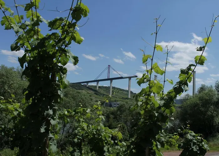 Apartamento 'ferienhaus Mosel' Mit Kostenfreien Oepnv-ticket *