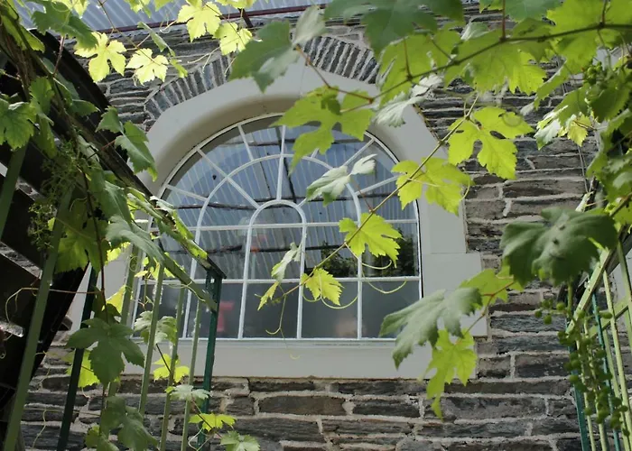 公寓 'ferienhaus Mosel' Mit Kostenfreien Oepnv-ticket