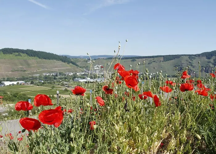 公寓 'ferienhaus Mosel' Mit Kostenfreien Oepnv-ticket