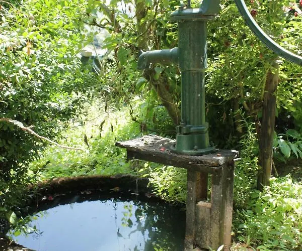 公寓 'ferienhaus Mosel' Mit Kostenfreien Oepnv-ticket