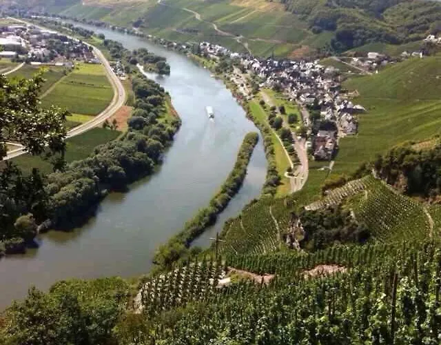 'ferienhaus Mosel' Mit Kostenfreien Oepnv-ticket 公寓